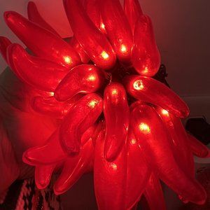 36 Red Yellow Green Chili Pepper String Lights Green Wire